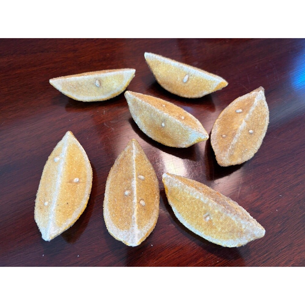 Rare Vintage Sugar Beaded Lemon Wedges Slices with Seeds Set of 7